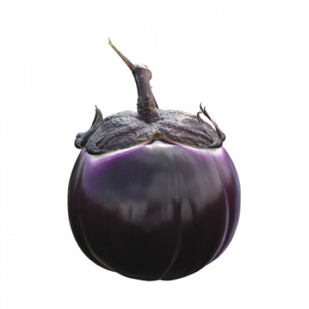 Hibrit Patlıcan Tohumu - SABELLE RZ F1 - 1.000 Adet Tohum