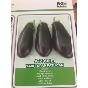 Hibrit Yarı Topan Patlıcan Tohumu - AZ-60 F1 - 1.000 Adet Tohum