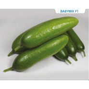 Hibrit Salatalık Tohumu Babymix F1 - 1.000 Adet