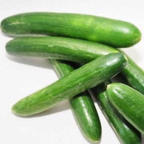 Hibrit Salatalık  Tohumu Hayel F1 - 2.500 Adet Tohum