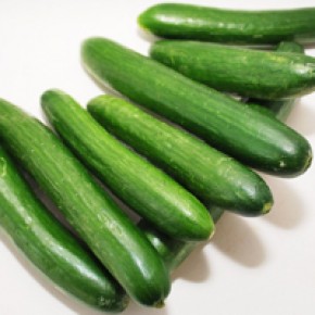 Hibrit Turşuluk Hıyar Tohumu-SAMARA F1-2.500 Adet