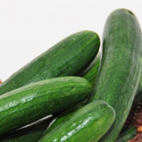 Hibrit Hıyar Tohumu-SV4196 F1-2.500 Adet