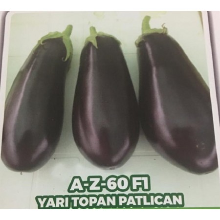 Az-60 F1 Yarı Topan Patlıcan Fidesi - 216 Adet Az-60 F1 Yarı Topan Patlıcan Fidesi - 216 Adet