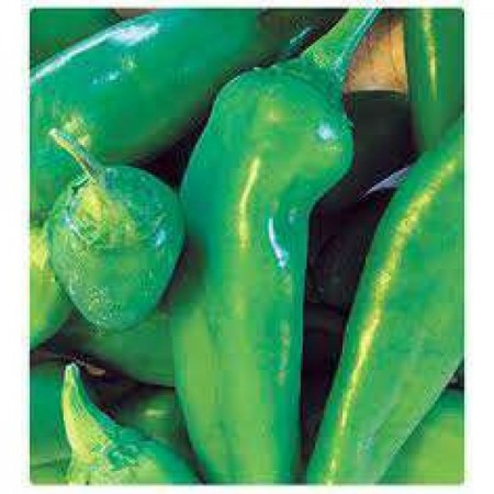 Doğal Pat Biberi Tohumu - 1 kg