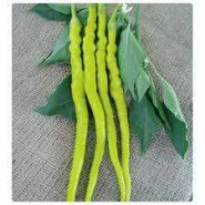 Doğal Sarı Sivri Biber Tohumu - 100 gr 