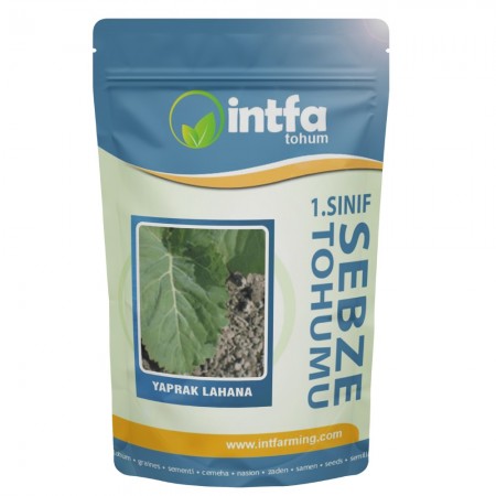 Yaprak Lahana Tohumu - 1 kg