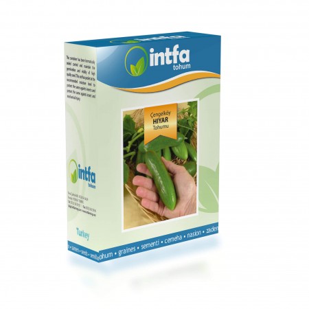Salatalık Tohumu Çengelköy - 100 gr