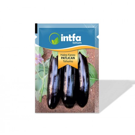 Patlıcan Tohumu Halep Karası - 100 gr