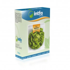 İthal Marul Tohumu - 100 gr 