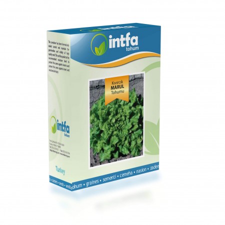 Marul Tohumu Kıvırcık - 250 gr