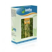 Sırık Turşuluk Fasulye Tohumu - 100 gr