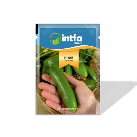 Salatalık Tohumu Çengelköy - 25 gr