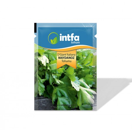 Maydanoz Tohumu D'Giant İtaliana - 10 gr