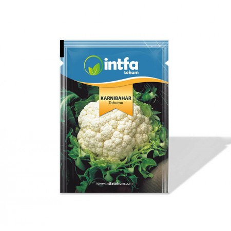 Karnabahar Tohumu İglo - 10 gr