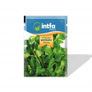 İri Yaprak Maydonoz Tohumu - 10 gr