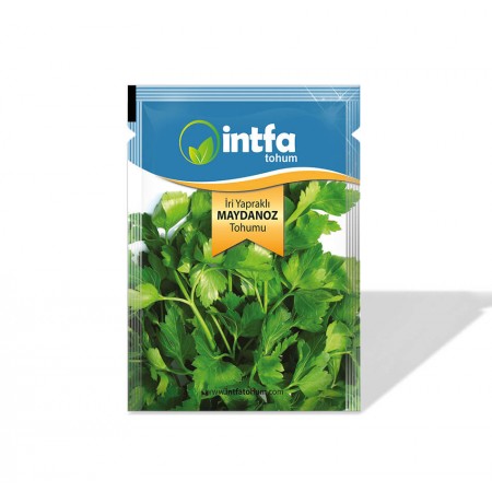 İri Yaprak Maydonoz Tohumu - 10 gr