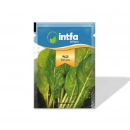 Pazı Tohumu  - 10 gr