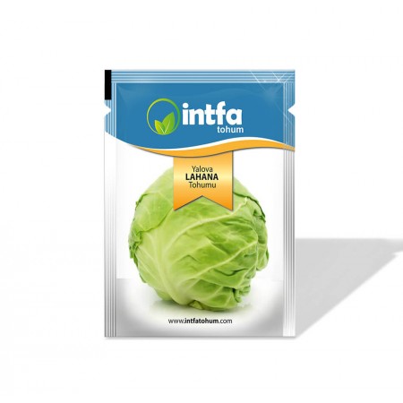 Yalova Lahana Tohumu - 25 Gr