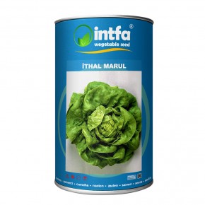 İthal Marul Tohumu - 500 Gr 