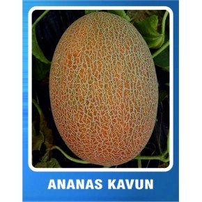 Kavun Tohumu Ananas - 10 gr