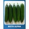 Salatalık Tohumu Beith Alpha - 100 gr