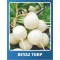 Beyaz Turp Tohumu - 100 gr