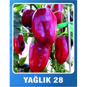Biber Tohumu Yağlık 28 - 10 Gr