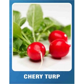 Chery Turp Tohumu - 100 gr 