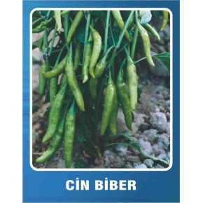 Cin Biberi Tohumu - 10 gr