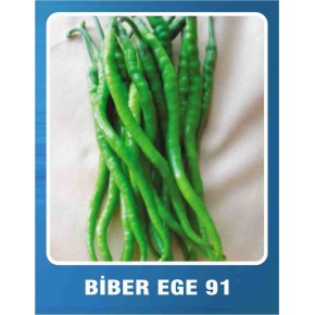 Biber Tohumu Ege 91 Kıl Acı - 10 gr