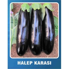 Patlıcan Tohumu Halep Karası - 100 gr