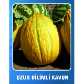 Uzun Dilimli Kavun Tohumu - 10 gr