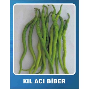 Biber Tohumu Kıl Acı - 10 gr