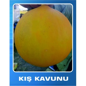 Kış Kavunu Tohumu - 10 gr