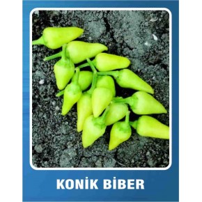 Biber Tohumu Konik - 10 gr