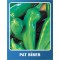 Biber Tohumu Pat Etli Tatlı - 10 gr
