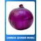 Zambak ( Çorum Moru ) Soğan Tohumu - 1 kg