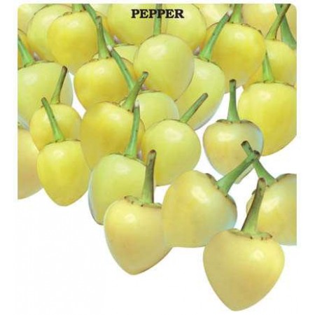 Biberiye Tohumu - 50 Adet