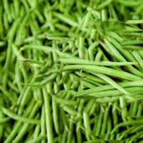 Börülce Tohumu - 25 Adet