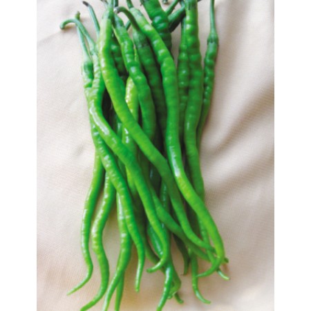 Biber Tohumu Ege 91 Kıl Acı - 100 Adet