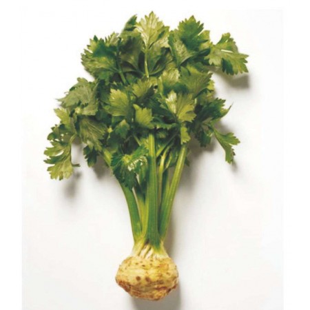 Kereviz Tohumu - 100 Adet