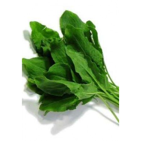 Kuzu Kulağı Tohumu - 25 Adet