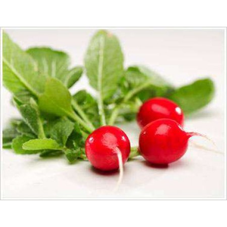 Minik Kırmızı Turp Tohumu - 100 Adet Tohum