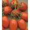 Domates Tohumu Rio Grande - 25 Adet