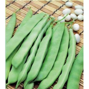 Fasulye Tohumu  Şeker (Sırık)-  25 Adet