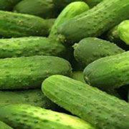 Turşuluk Hıyar Tohumu - 25 Adet