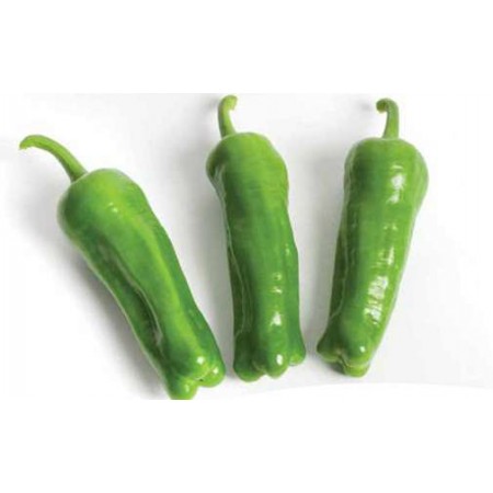 Biber Tohumu Üç Burun - 100 Adet