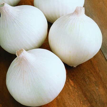Beyaz Soğan Tohumu Beyazay - 1 Kg