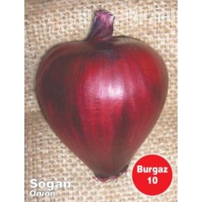Burgaz Soğan Tohumu - 1 kg
