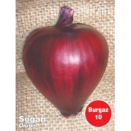 Burgaz Soğan Tohumu - 1 kg